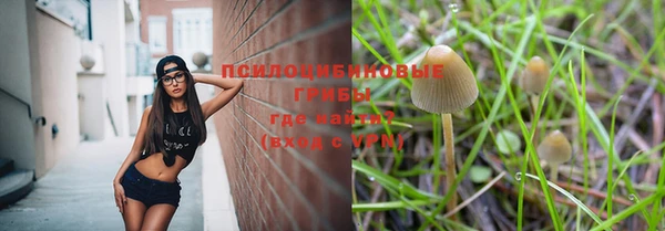 стафф Зеленокумск