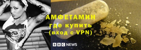 шишки Заволжск